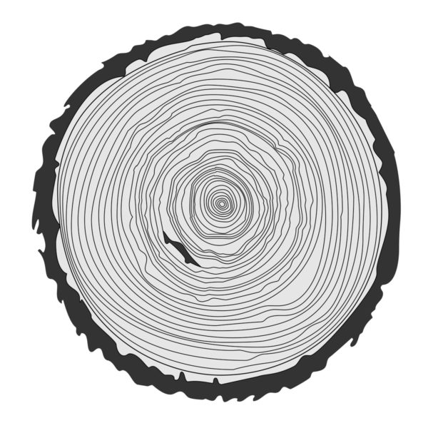 Tree ring illustration by whilerests via iStockPhoto