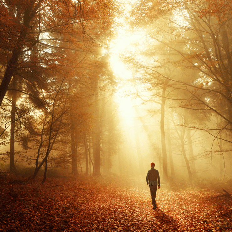 Photo of a person walking in a forest at dusk to demonstrate that meaning and purpose in life indicates long term well-being.