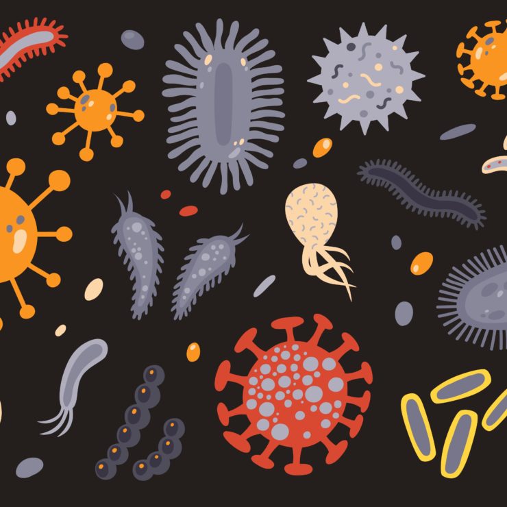 Microbes on a black background showing the connection between gut bacteria and our health