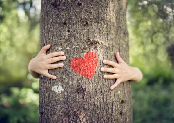 Person Hugging A Tree And Having Gratitude For Nature