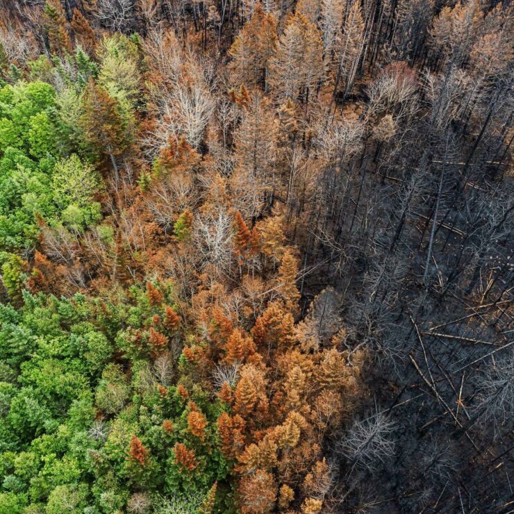 Earth PDR istock image credit shaunl Newsletter Nov 2024 1