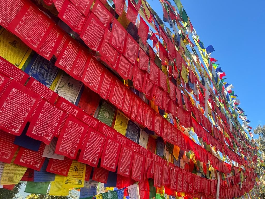 Prayer flags hang at the monastery adjacent to where His Holiness the Dalai Lama resides.