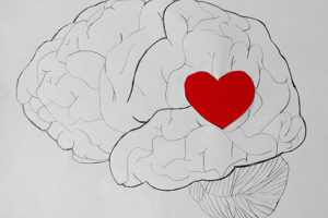 Brain Heart Illustration by Yasmeen via Flickr Cc