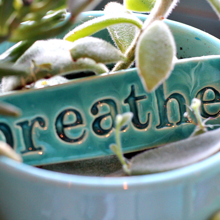 Breathe-WEB